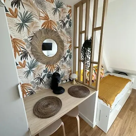 Studette Entierement Renovee Et Lumineuse Apartment