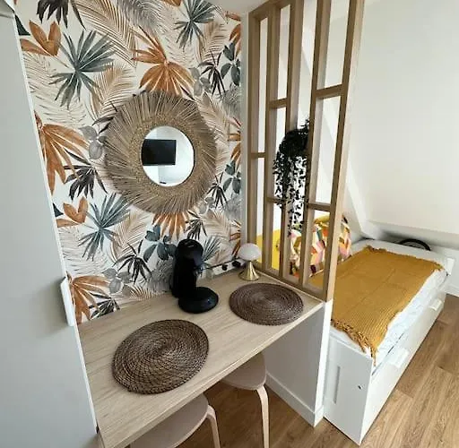 Studette Entierement Renovee Et Lumineuse Apartmán